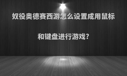 奴役奥德赛西游怎么设置成用鼠标和键盘进行游戏?