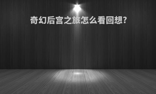 奇幻后宫之旅怎么看回想?