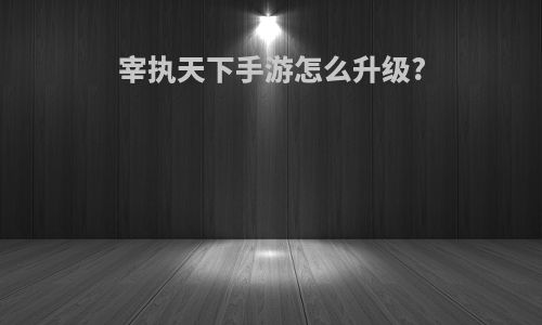 宰执天下手游怎么升级?