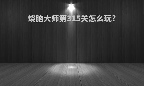 烧脑大师第315关怎么玩?