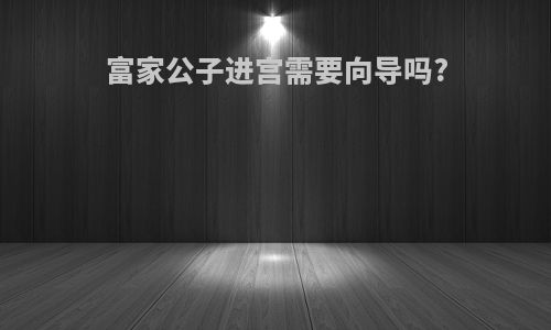 富家公子进宫需要向导吗?