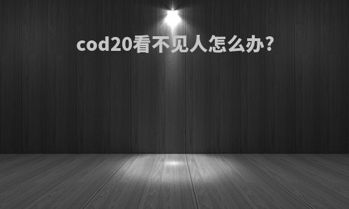 cod20看不见人怎么办?