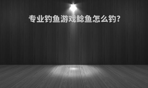 专业钓鱼游戏鲶鱼怎么钓?