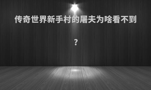 传奇世界新手村的屠夫为啥看不到?
