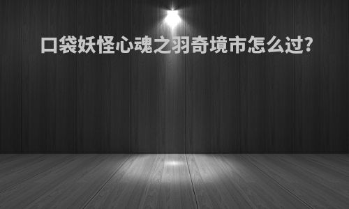 口袋妖怪心魂之羽奇境市怎么过?