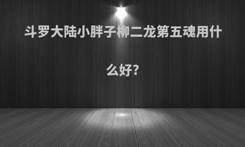 斗罗大陆小胖子柳二龙第五魂用什么好?
