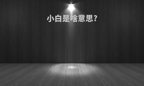 小白是啥意思?