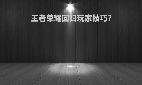 王者荣耀回归玩家技巧?