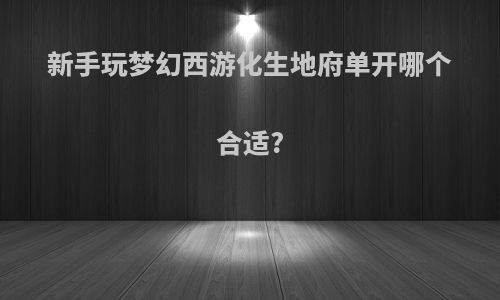 新手玩梦幻西游化生地府单开哪个合适?