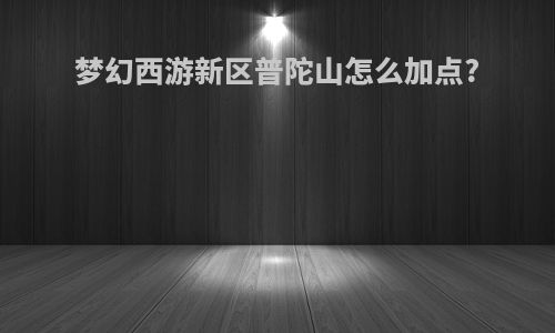 梦幻西游新区普陀山怎么加点?