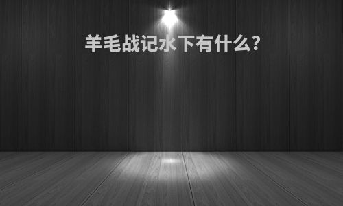 羊毛战记水下有什么?