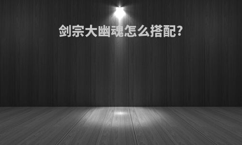 剑宗大幽魂怎么搭配?