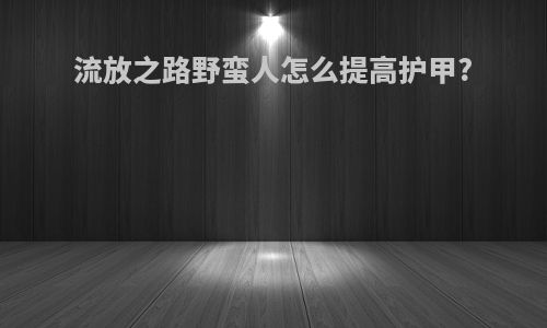 流放之路野蛮人怎么提高护甲?