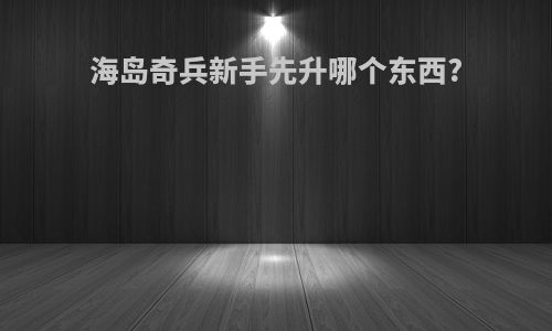 海岛奇兵新手先升哪个东西?