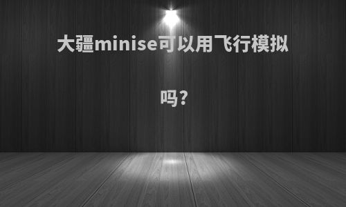 大疆minise可以用飞行模拟吗?