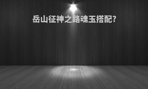 岳山征神之路魂玉搭配?